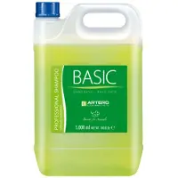 Artero Champú Basic 5l