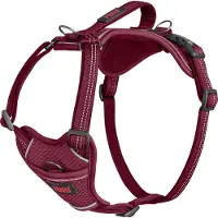 Company of animals Anatomy Harness - Magenta - XS