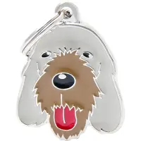 My Family Placa Para Mascotas Spinone Italiano