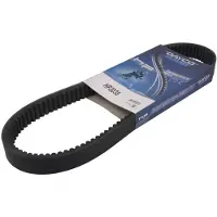 DAYCO Correa De Transmisión Hp3038