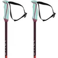 Völkl Bastones Phantastick 18mm