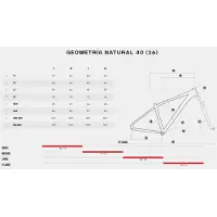 Megamo Bicicleta De Mtb Natural 40 29´´ Acera 2026