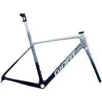 Giant Cuadro De Carretera Tcr Advanced Sl 2026