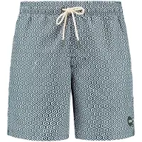 Shiwi Bermudas 'Mike' verde oscuro / blanco