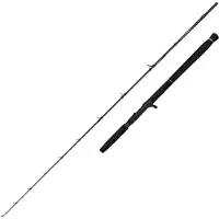 Savage Gear Caña De Jigging Defiance Sg2 Cast