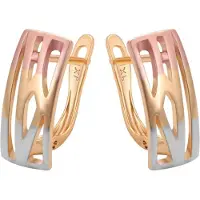 Gaya Pendientes oro / oro rosa / plata