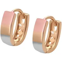 NAEMI Pendientes oro / oro rosa / plata