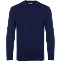 Iceberg Jersey 'Pullover' azul