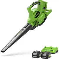 Greenworks Aspiradora y soplador de hojas de 24V + 24V, que incluye 2 baterías de 4Ah y un cargador