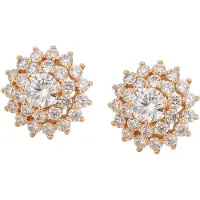 NAEMI Pendientes oro / oro rosa