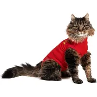 Medical Pet Shirt Gato - Rojo - XS