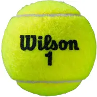 Wilson Pelotas De Tenis Roland Garros All Court Bipack