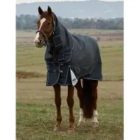 WeatherBeeta Manta para caballos , talla 160, modelo Comfitec Ultra Turnout Detach-A-Neck, 100 gramos, color gris oscuro (carbón)