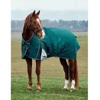 WeatherBeeta Manta para caballos , talla 155, modelo Comfitec Plus Dynamic Turnout, cuello alto, 220 gramos, color verde bosque/azul marino