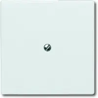 Busch-Jaeger BJ UPWG, cubierta ciega para todo clima, color blanco alpino, modelo 2138-34