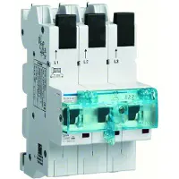 Hager Interruptor SLS, 3 polos, 50A, modelo HTS350E, para carril guía QuickConnect
