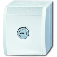 Busch-Jaeger BJ APWG, enchufe Schuko para exteriores, modelo 20EWSL-101-54, con sistema de seguridad, color blanco alpino