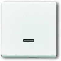 Busch-Jaeger BUSCH JAEGER 6599-0-2963 - Pulsadores - Blanco - 63 mm - 63 mm - 1 unidad