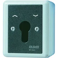JUNG APWG WG 800, interruptor bipolar de 2 polos, 804.28G, con persiana y función de inversión