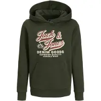 Jack & jones Junior Sudadera 'JJELOGO' beige / verde / blanco