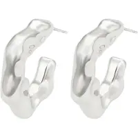 Gaya Pendientes plata