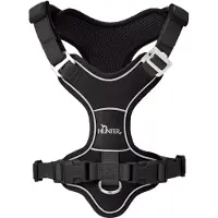 Hunter Harness Divo Up - Negro - S