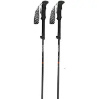 Gabel Bastones Ibex Carbon Xts