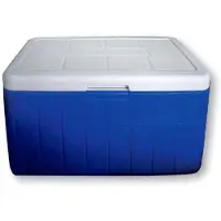 Lalizas Nevera Portátil Rígida Seacool 48l