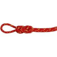 Mammut - 8.0 Alpine Core Protect Dry Rope - Cuerda doble size 30 m, rojo/blanco