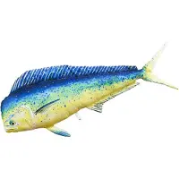 Gaby El Cojín Gigante De Mahi Mahi