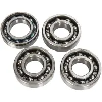 Hotrods Kit De Cojinetes Del Basculante Yamaha Raptor 700 06-20/se 10