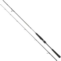Daiwa Caña De Spinning Saltist Seabass