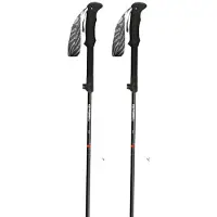 Gabel Bastones Ibex Carbon Xtl