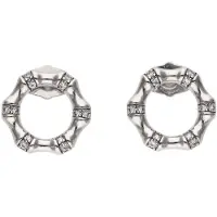 Gaya Pendientes plata