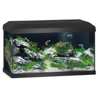 Juwel Aquarium Primo - Negro - 57 L