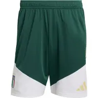 Adidas adidasPantalón corto de entrenamiento Italia 26 L Collegiate Green Hombre
