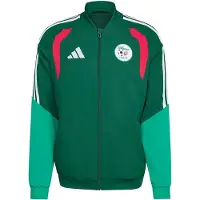 Adidas adidasChaqueta presentación Argelia 26 S Team Dark Green Hombre