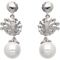Gaya Pendientes plata