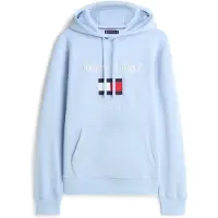 Tommy Hilfiger Sudadera navy / azul cielo / rojo / blanco