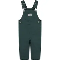 Levi's Boys Carpenter Overall Bistro Green Talla: 9M | Bodis Infantiles Outlet | kids | Verde