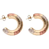 NAEMI Pendientes oro / oro rosa / plata