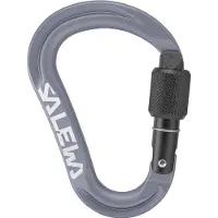 Salewa - Ortles HMS S Carabiner - Mosquetones HMS gris