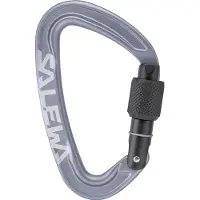 Salewa - Ortles Screw Carabiner - Mosquetones de rosca gris