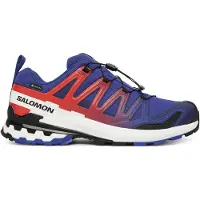 Salomon - Zapatillas de trail - XA Pro 3D V9 GTX Equipe Surf W/Fir - Talla 46 2/3 - Azul
