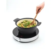 Fritel Placa De Inducción Ip1266 2000w