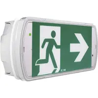 CEAG Notlichtsysteme GmbH Eaton 40071349554: Lámpara de emergencia con luces de escape, para montaje en techo o pared (40071349554)