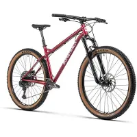 Bombtrack Bicicleta De Mtb Cale 29´´ Gx Eagle 2024
