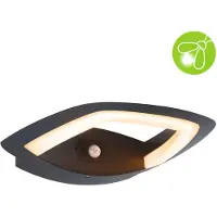 Paulmann . Lámpara de pared exterior LED Akena, con sensor de movimiento (IR) y control de luz ambiental, respetuosa con los insectos