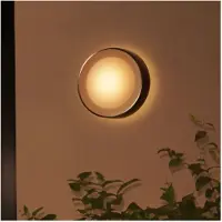 Philips Lámpara de pared White & Color Ambiance, modelo Daylo, color plateado, 1050 lúmenes
