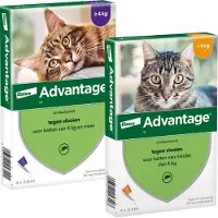 Advantage 40 gato <4 kg - 4 pipetas